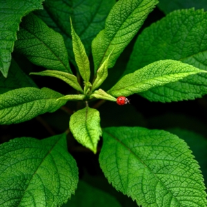 Noustamine9-scaled-e1728321005111